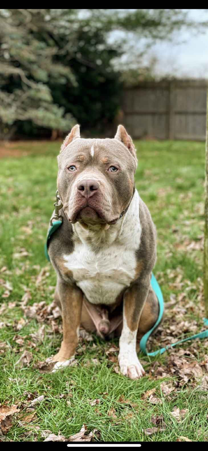 Click to see Koda's grandmother